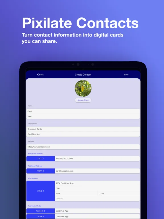 Screenshot di Card Pixel iPad 